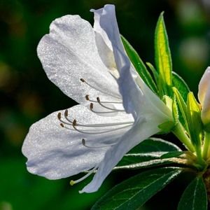 Meet your Posher, Aprille